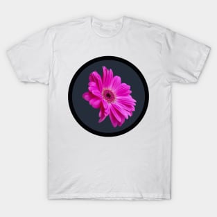 Pink Gerbera Daisy Flower Circle Frame T-Shirt